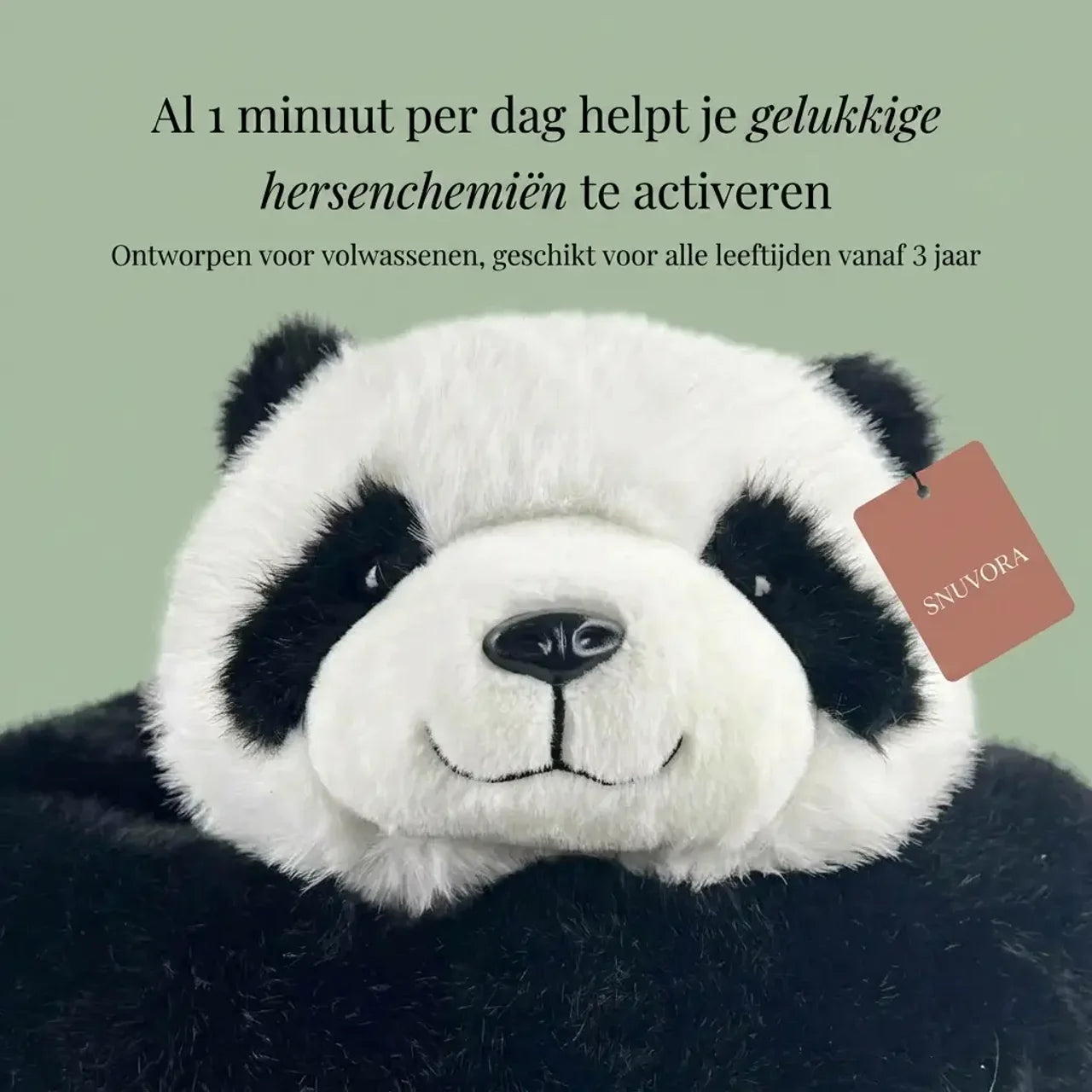 Pookie de Panda Verzwaarde Knuffel